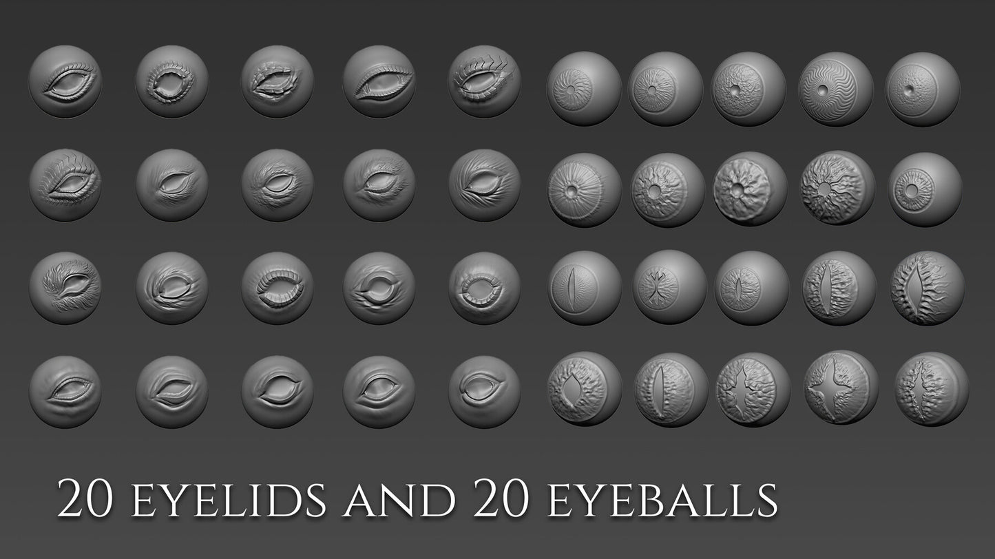 Over 450 Brushes and Ztools for Dragons