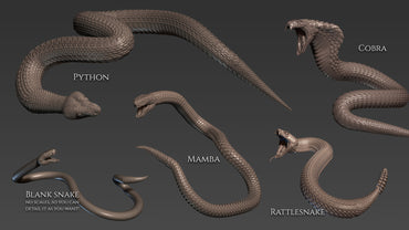 5 pinceles de curvas de serpiente para Zbrush