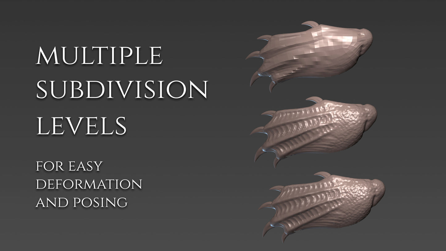25 Fins for Zbrush and Blender