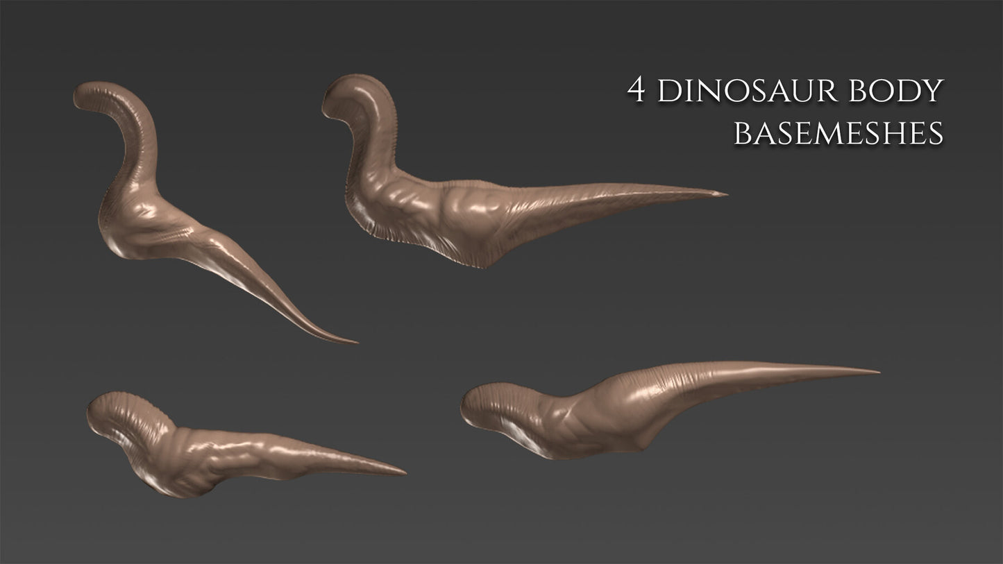 12 body basemeshes for dragons and dinosaurs
