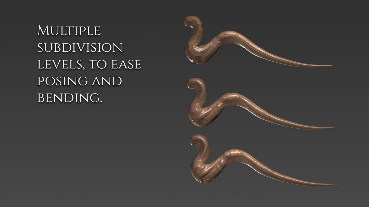 12 body basemeshes for dragons and dinosaurs
