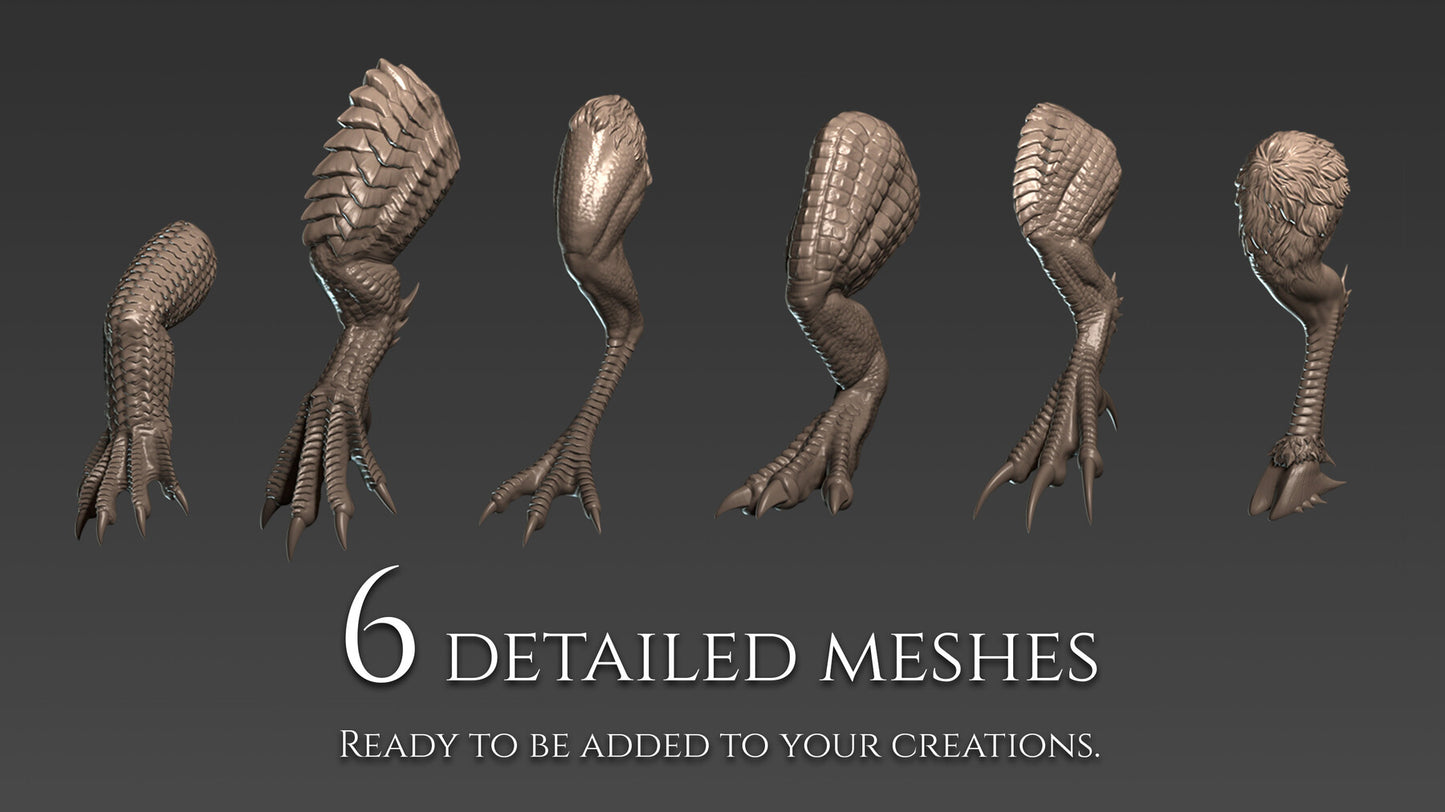 21 Legs and Feet for Dragons and Dinosaurs