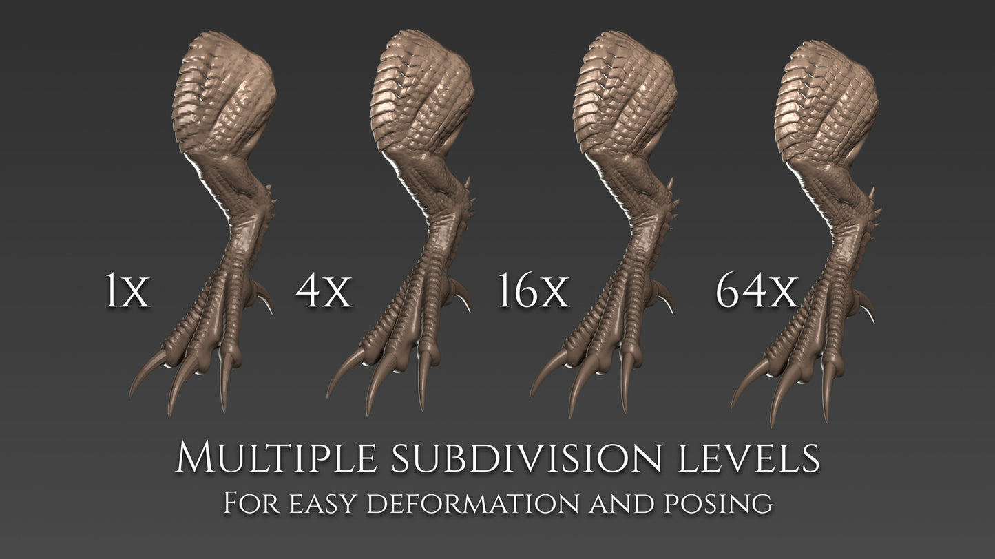 21 Legs and Feet for Dragons and Dinosaurs