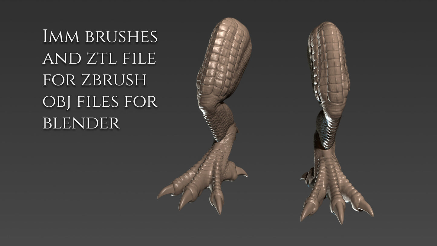 21 Legs and Feet for Dragons and Dinosaurs