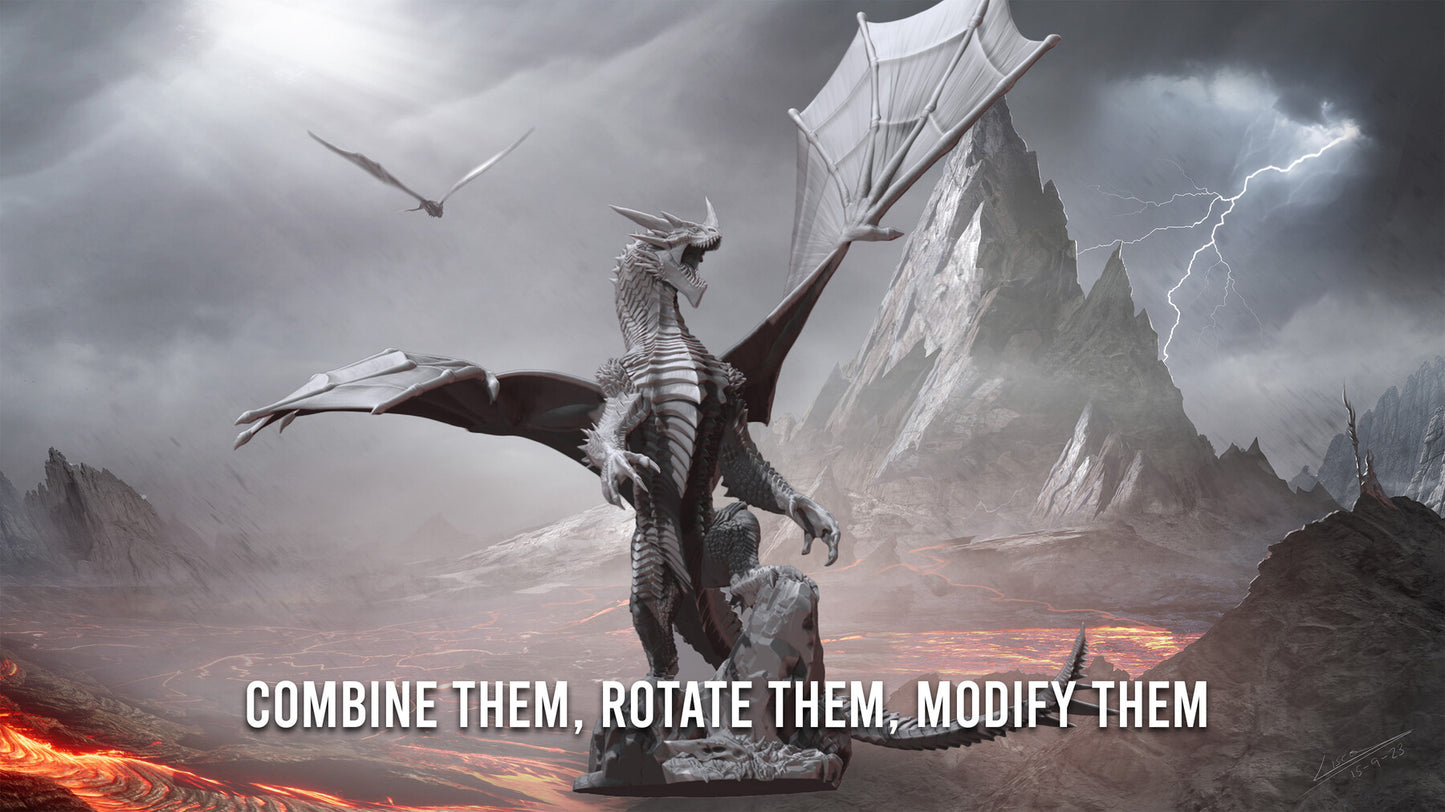 7 wing poses for Dragons