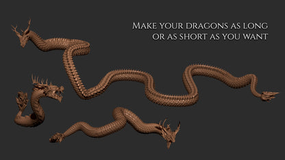 3 Asian Dragons curve brushes for Zbrush