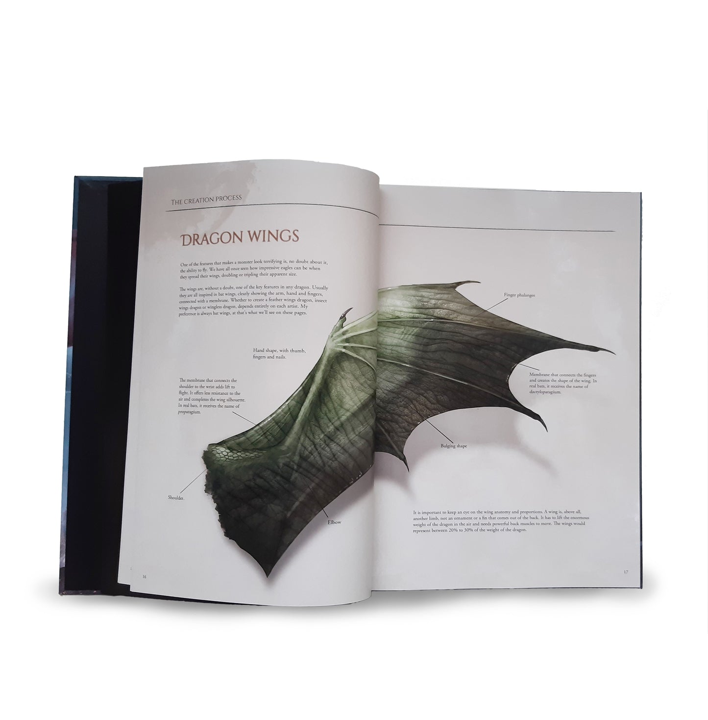 The Ultimate Dragon Artbook