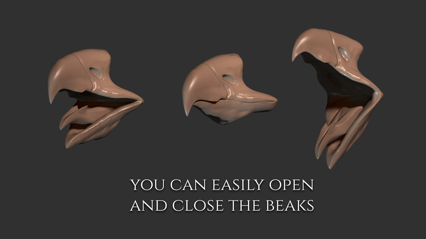20 Beaks for Zbrush and Blender