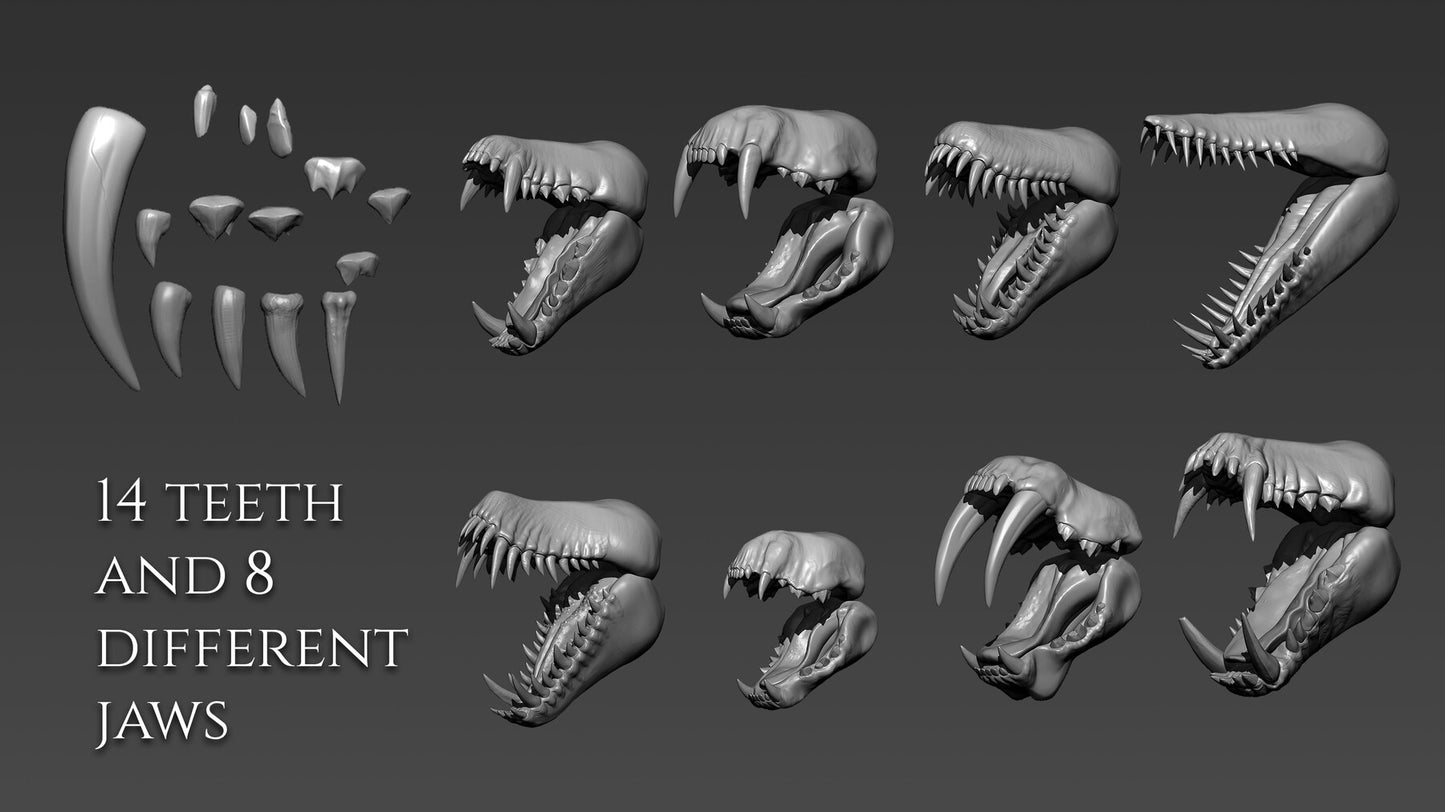 Over 370 brushes and ztools for DRAGONS