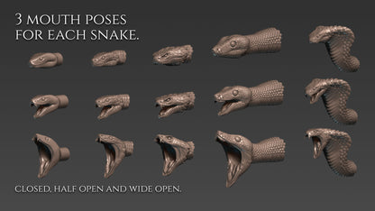 5 Snake curve brushes for Zbrush