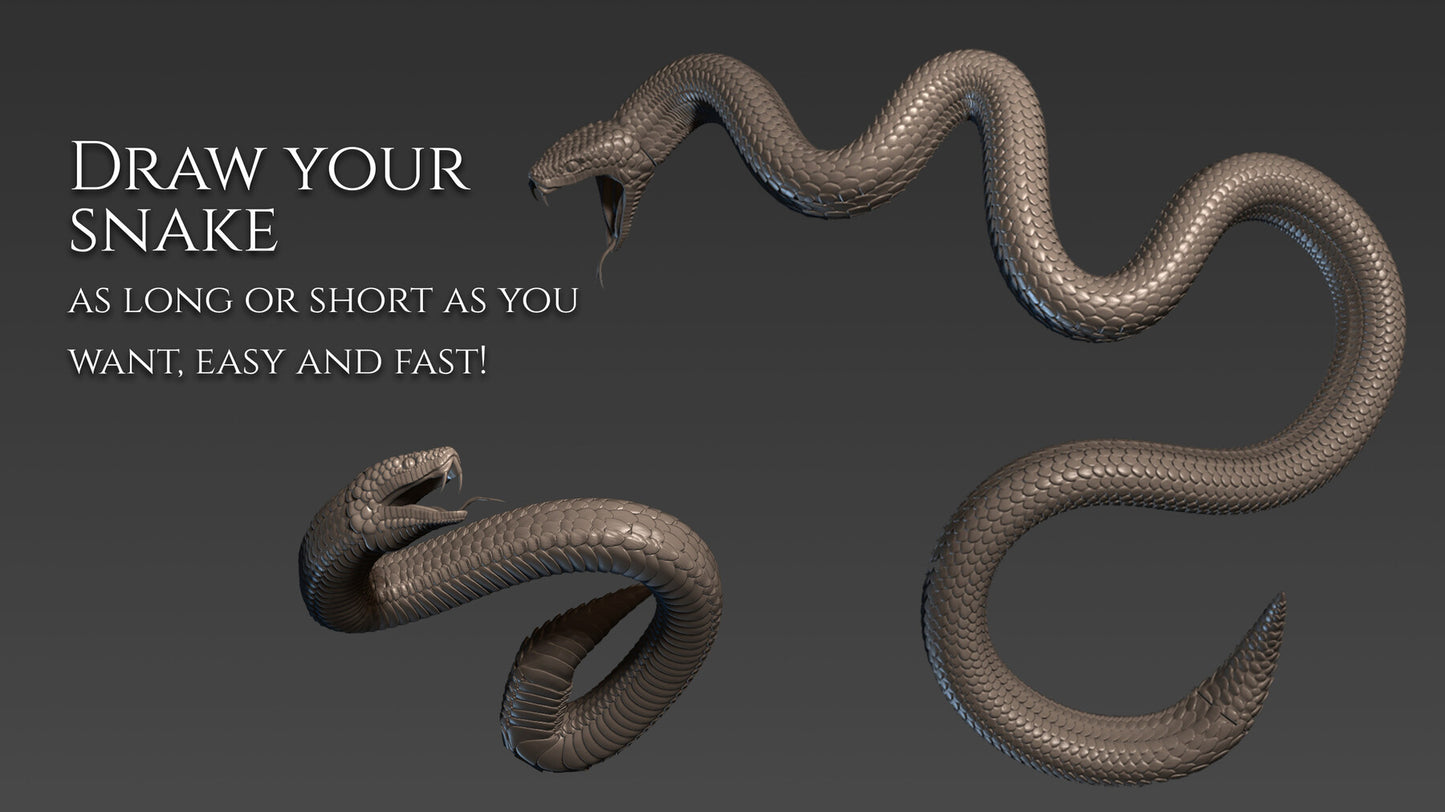 5 Snake curve brushes for Zbrush