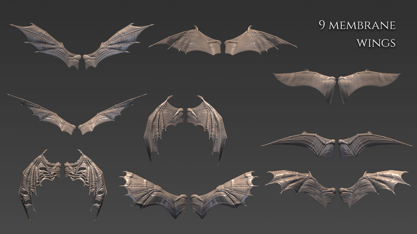 20 Wings for Zbrush and Blender