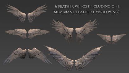 20 Wings for Zbrush and Blender