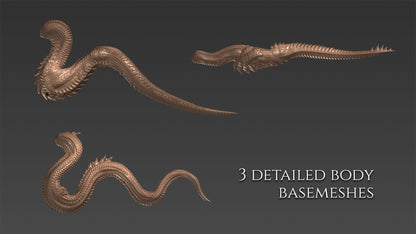 12 body basemeshes for dragons and dinosaurs