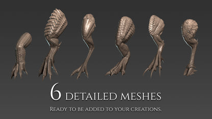 21 Legs and Feet for Dragons and Dinosaurs
