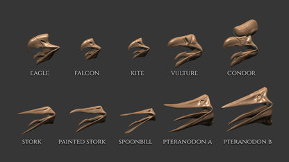 20 Beaks for Zbrush and Blender