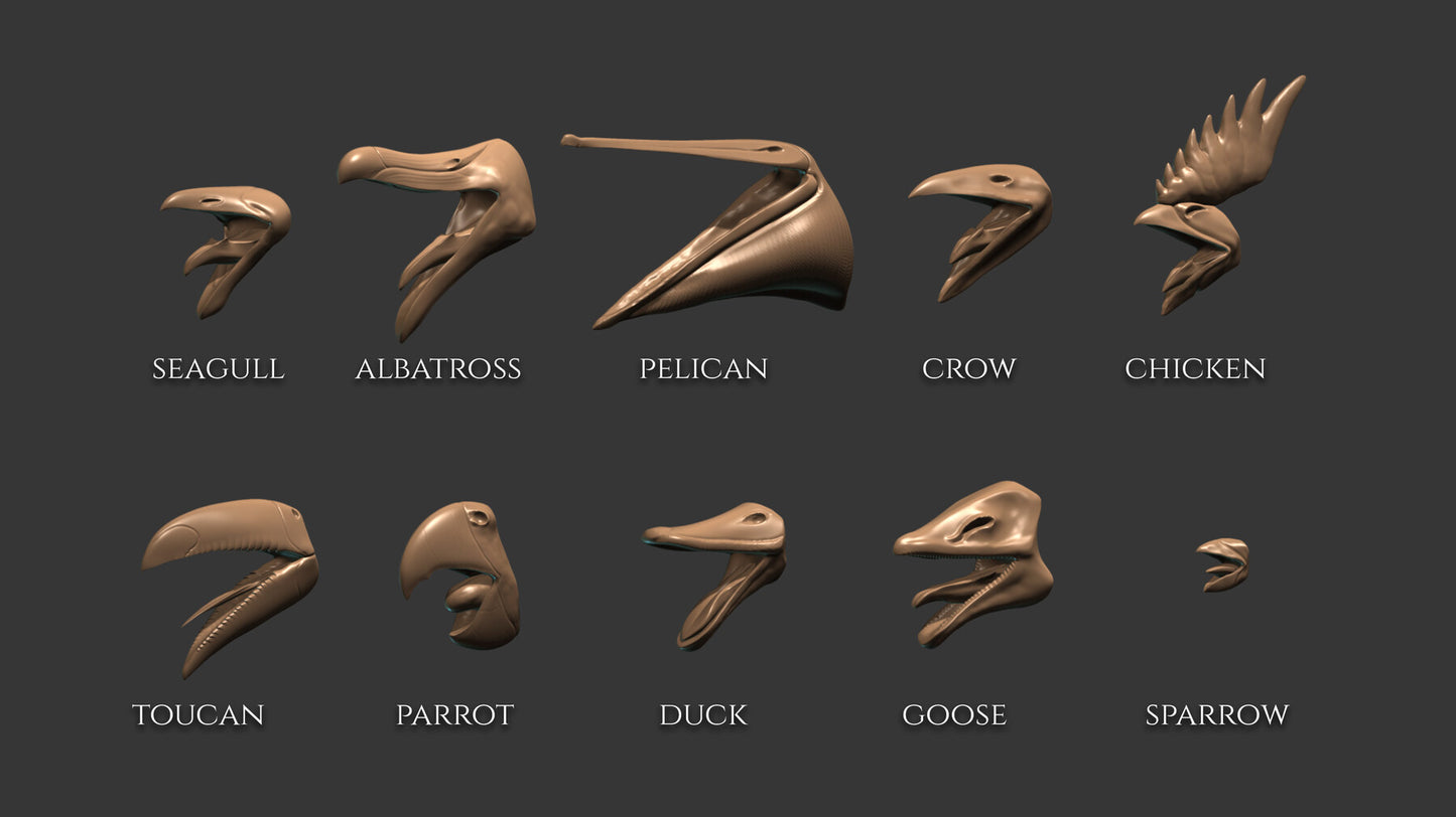 20 Beaks for Zbrush and Blender