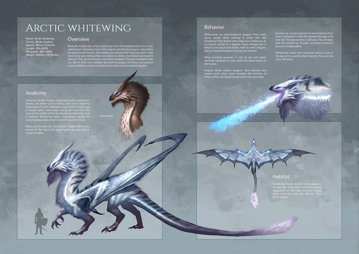 The Ultimate Dragon Artbook